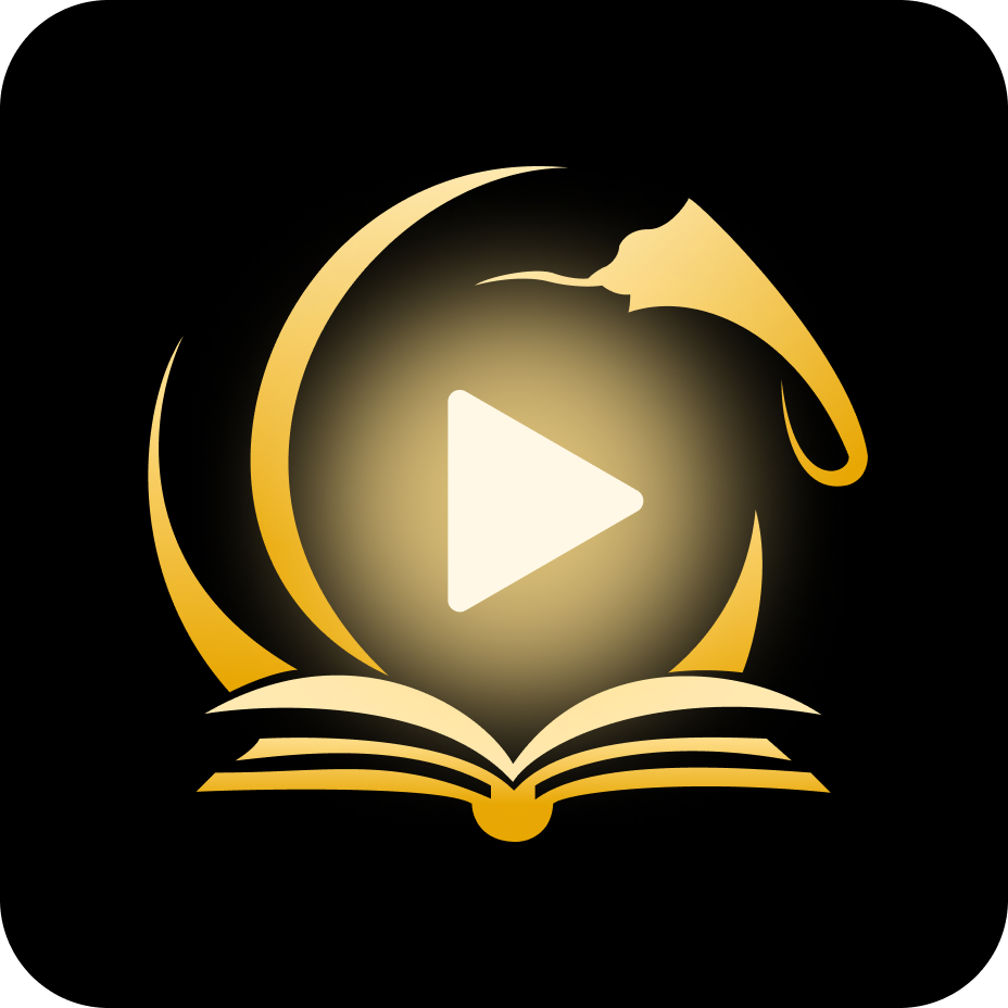 stulivier logo